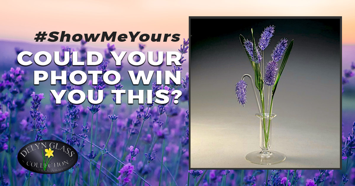 Submit a photo of Lavender for your chance to win our Medium set of Lavender worth over £50!